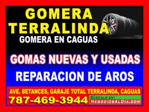 gomeras caguas